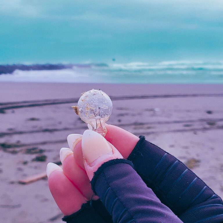Tiny lightbulb found on the beach